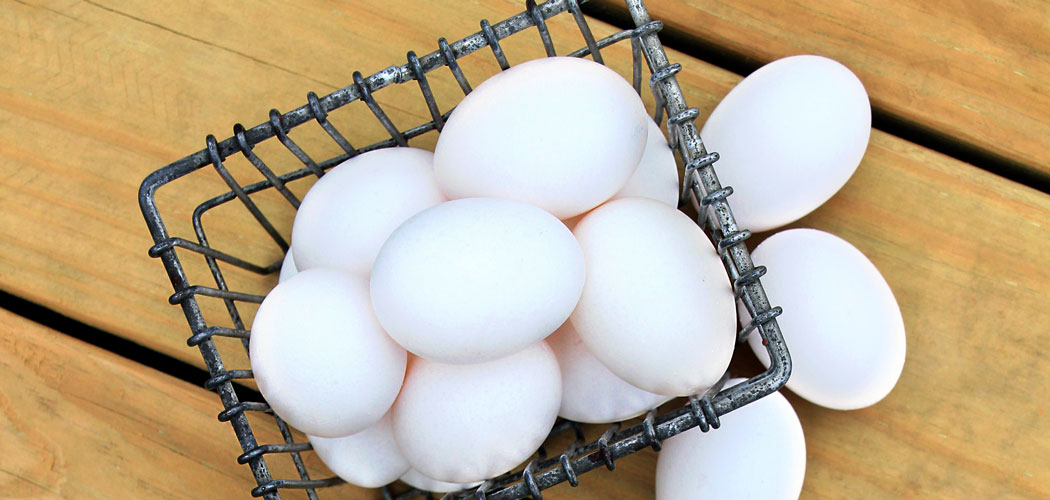 5 Reasons to Eat More Eggs