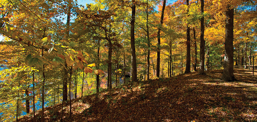 Beautiful Fall, Beautiful Arkansas