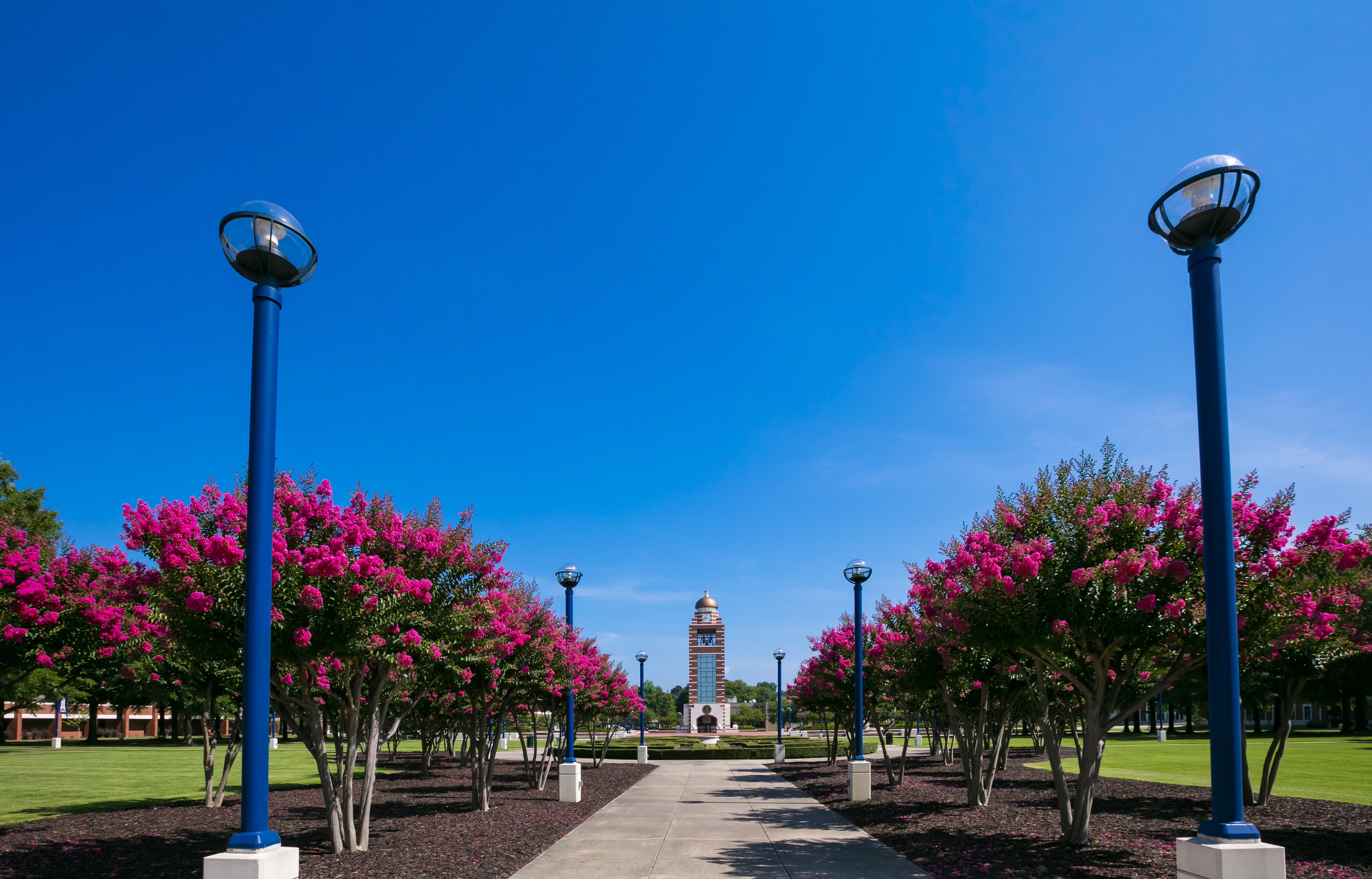 UAFS Dean’s List Announced