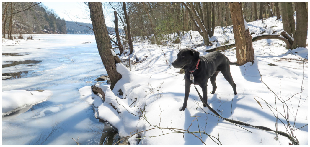 Walking in Winter Woods: Seeking New Lows
