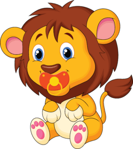 infant lion