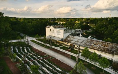 Find Yourself at Finley Farms